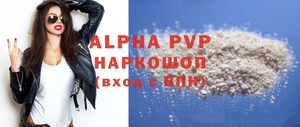 apvp Гусев