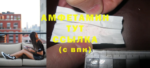 apvp Гусев