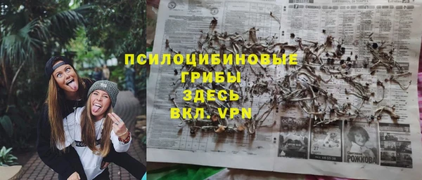 apvp Гусев