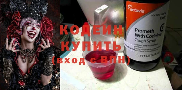 apvp Гусев