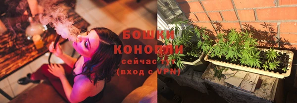 apvp Гусев