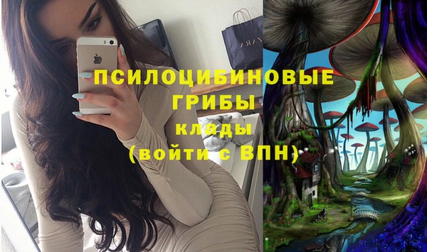 ешки Гусиноозёрск