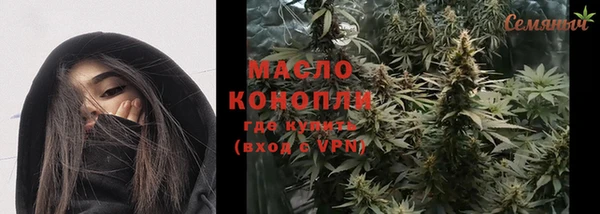 apvp Гусев
