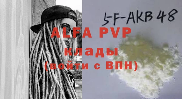 apvp Гусев
